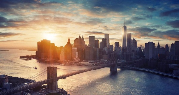 Vì sao tại New York từng diễn ra ‘cuộc chiến’ giữa người và lợn cách đây hơn 1 thế kỷ?