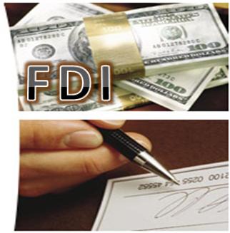 Thu hút FDI: Nên bước chậm trong khôn ngoan?