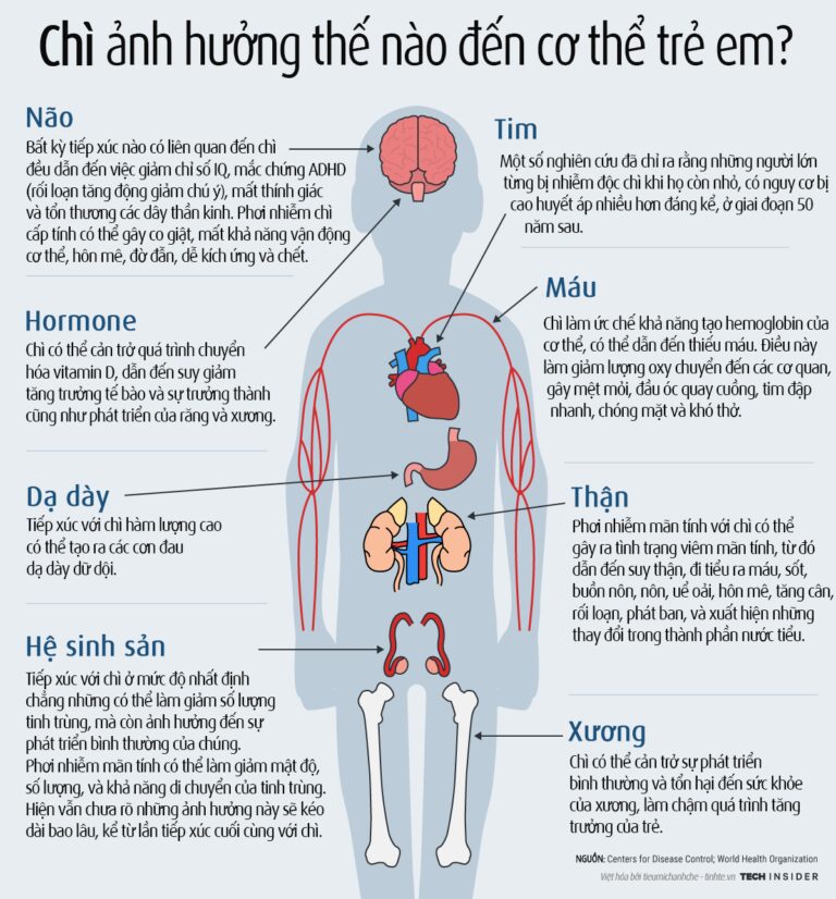 Infographic: Chì ảnh hưởng như thế nào đến cơ thể trẻ em?