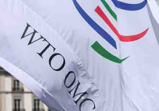 WTO thông qua cải cách thương mại đầu tiên trong lịch sử